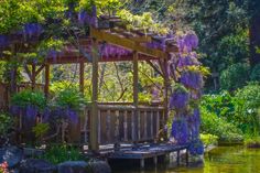 a wooden bench sitting in the middle of a lush green forest next to a lake