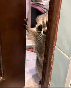 a raccoon is peeking out from behind a door and reaching for something on the floor