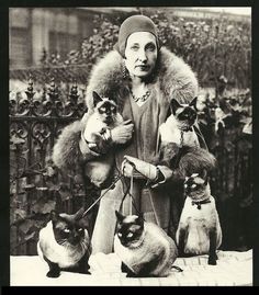 an old black and white photo of a woman with cats