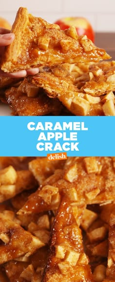 WARNING: Caramel Apple Crack is EXTREMELY addicting.﻿ Get the recipe from Delish.com. Caramel Apples Recipe, Caramel Apples Easy, Crescent Recipes, Caramel Apple, Pampered Chef, Fruit Desserts, Pavlova, Apple Recipes, Caramel Apples