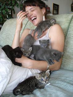 a woman sitting on a couch with five kittens in her lap and the caption says, now this is truly a crazy cat lady