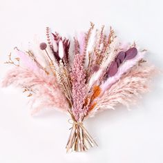 a bunch of dried flowers on a white background