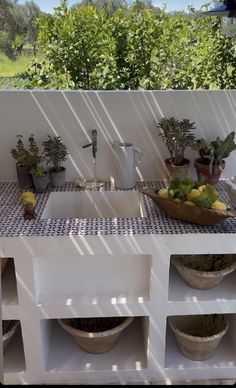 an outdoor kitchen with plants and fruit on the counter