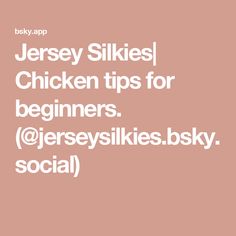 Jersey Silkies| Chicken tips for beginners. (@jerseysilkies.bsky.social)