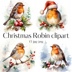 four christmas robin clipart illustrations