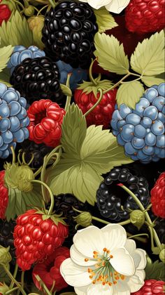 Wallpaper/ Pattern/ Berries Blackberry Paint, Berries Aesthetic, Raspberry Art, Berries Illustration, Berry Wallpaper, Berries Art, Patterns Aesthetic, Art White Background, Berries Wallpaper