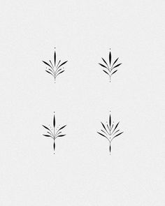 four black and white images of leaves on a white background, each with different shapes