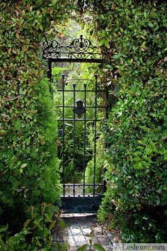 an iron gate surrounded by green bushes