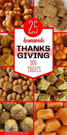 25 homemade thanksgiving giving dog treats