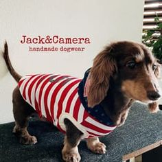 a small dog wearing a red, white and blue shirt on top of a table