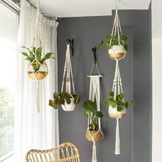 macrame plant hangers are hung on the wall with plants in them and hanging from hooks