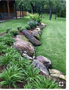 a garden with rocks and plants in it