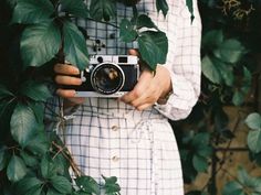 a person holding a camera in front of green leaves and ivy on a sunny day