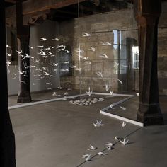 white birds flying in the air over an empty room