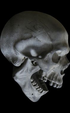 an image of a human skull in the dark