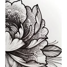 black and white drawing of a flower with intricate designs on it's back side