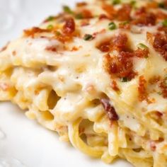 a white plate topped with pasta covered in cheese