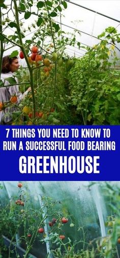 the words 7 things you need to know to run a successful food bearing greenhouse