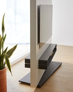 a plant in a pot sitting next to a television set on top of a stand