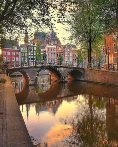 a bridge over a river with buildings on both sides and trees in the foreground