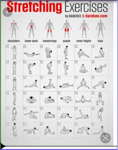 an exercise chart with exercises for the body