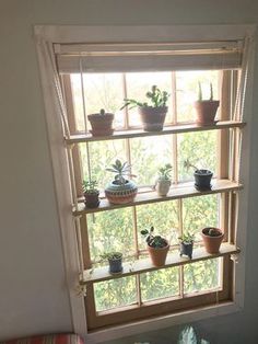 a window sill filled with potted plants in front of a sunny window seat