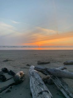 the sun is setting over the beach with driftwood