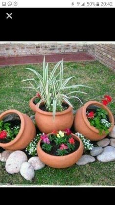 four clay pots with plants in them on the grass near rocks and flowers are arranged around each other