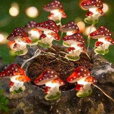 fly agaric red mushroom aesthetic fairy lights set fairycore aesthetic room decor roomtery Battery Powered Christmas Lights, Cottagecore Room Decor, Led Fairy String Lights, Mushroom Lights, Battery String Lights, Mushroom Fairy, Indoor String Lights, Mushroom Decor, Christmas Bedroom