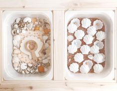 two trays filled with different types of seashells