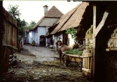 the horse is standing in the alley between two buildings with thatched roof tops on them