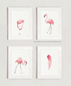 three pink flamingos are hanging on the wall in front of two white framed pictures