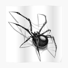 a black and white drawing of a spider