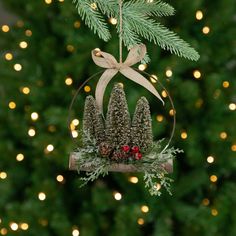 an ornament hanging from a christmas tree with pine cones and berries on it