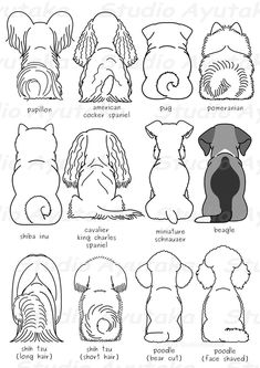 the different types of dogs that are in each dog's head and neck shape