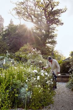 a man riding a bike through a lush green forest filled with white flowers and plants