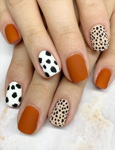 Western Nails, Leopard Nails, Fall Acrylic Nails, Black Nail, Short Acrylic Nails Designs, Dream Nails, Pretty Acrylic Nails