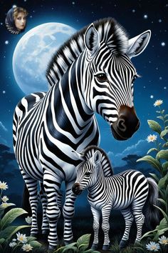 two zebras standing next to each other in front of a full moon