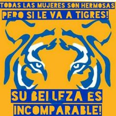 a yellow and blue poster with a tiger's face