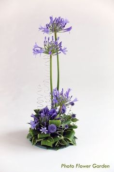 purple flowers are in a green pot on a white background