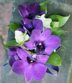 purple and white flowers are in a vase