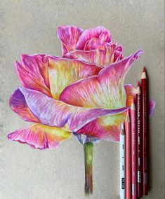 a drawing of a pink flower with three colored crayons next to it