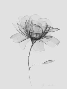 Xray Flower, Classy Tattoos, Spine Tattoos, Subtle Tattoos, Art Tattoos, Elegant Tattoos, Cover Up Tattoos, Simplistic Tattoos, Creative Tattoos