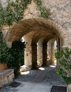 an old stone building with plants growing out of it's walls and doorways