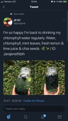 Chlorophyll Drink Recipes, Chlorophyll Drink, Chlorophyll Water, Healthy Drinks Smoothies, Feminine Health, Healthy Water, Herbal Healing, Herbs For Health