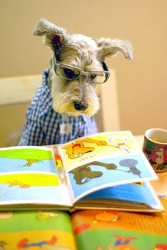 a small dog wearing glasses sitting in front of an open children's book and coffee cup