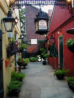 an alley way with potted plants and hanging lights on the side of buildings,