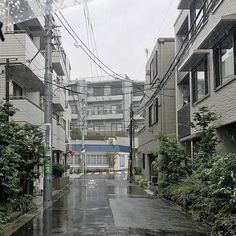 an empty street with buildings and trees on both sides in the rain under an umbrella