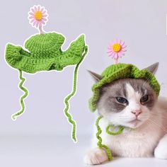 a cat wearing a green crocheted hat next to a pink flower with leaves