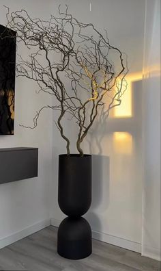 there is a vase with branches in it